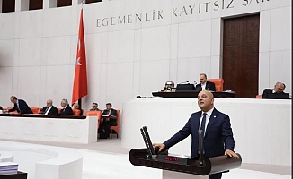 “AKP ağacın doğanın değil, doların yeşilini seviyor"