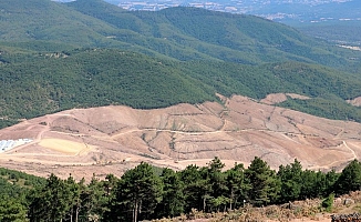 Binlerce ağacın kesildiği Kaz Dağları'nda kamu yararı araştırması yapılmamış