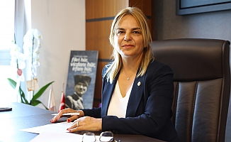 CHP'li Hancıoğlu: ''Kaç ağaç kesildi, kimlere ruhsat verildi?''