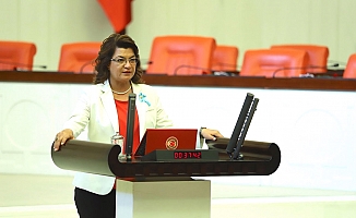 CHP'li Şahin: Çöp ithalatı artıyor, burnumuza pis kokular geliyor!