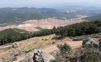 Kanadalı şirket Kaz Dağları’nda risk analizi yapmış: Tepkiler üç ila altı ay geciktirebilir