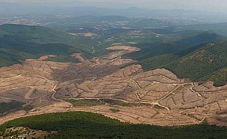 Kaz Dağları'nda altın madeni davası: Bilirkişi raporunda 'imza uyuşmazlığı' iddiası