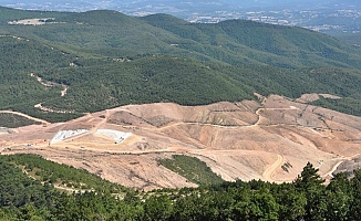 Kaz Dağları'nı bekleyen felaket: 40 şirket daha sırada