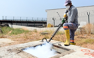 Mersin Belediyesi'nde  ilaçlama çalışmaları çok yönlü olarak sürüyor