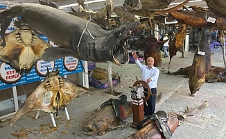Türkiye deniz canlıları müzesi ziyaretçi  akınına uğruyor