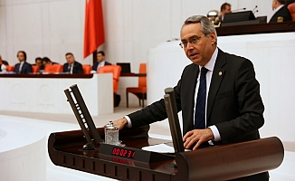 CHP'li Zeybek: 'Doğamıza, denizimize sahip çıkacağız'