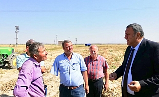 Fasulye Üreticisi İsyanda: “Ürünümün rafta üç katı fiyatla satıldığını görünce içim yanıyor''
