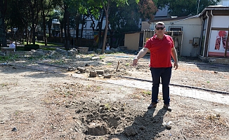 Menemen Belediyesi’nden ağaç katliamı iddialarına yalanlama