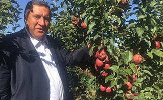 Gürer: “Dalında kilosu 1 lira olan elmanın Meclis'te tanesi 2 lira”