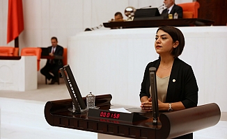 CHP'li Taşçıer'den, Sağlık Bakanı Koca'ya uyuz sorusu