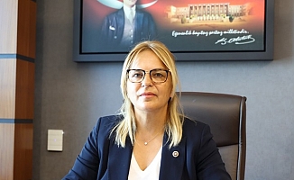 Hancıoğlu: "Fındığın artık ne milliliği ne de yerliliği kaldı"