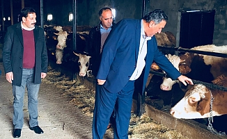 Gürer, Erzincan’da çiftçi ve besicilerle görüştü!