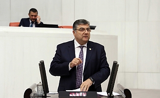 CHP’li Sındır Süs Bitkilerini Meclis Gündemine Taşıdı