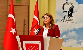 Karaca'dan Tubitak'a yanıt: ''Bilim siyasi otorite baskısı kabul etmez''