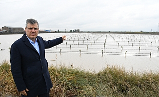 Barut; "Zarar tespiti yapılsın, çiftçi borçları faizsiz ertelensin"