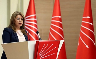 CHP'den su stresi raporu: Dünya Su Günü'nde yaşam ve su stresindeyiz, su kanunu çıkarılmalı