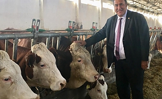 Gürer: “Süt üreticisine seçim öncesi desteği dahi verilmedi!”