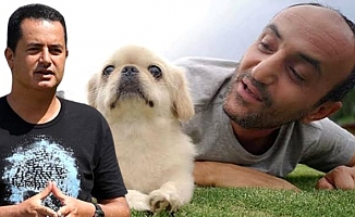 Acun Ilıcalı köpeğini kaybeden Ersin'e müjdeli haberi canlı yayında verdi