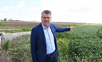 "TARSİM'le ilgili sorunlar tespit edilip çözüm üretilsin"