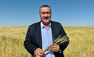 "2002’de 33 gram altın eden 1 ton buğdayın değeri bugün 4 grama düştü"