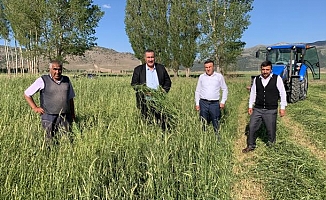 Gürer: “ikinci kez vuran dolu sonrası çiftçiye acil destek şart”