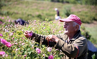 Milletvekili Sındır; “Böyle giderse gül sektöründe de sınıfta kalacağız”