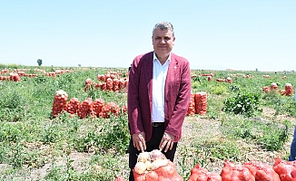 "Tuzu kuru beyzade, yanlış ve eksik açıklamalar yapıyor"