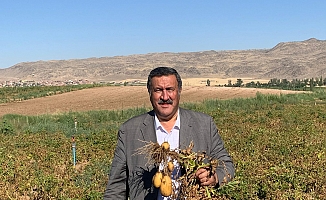 Gürer: “1 ton patates, 1 çeyrek altın etmiyor”