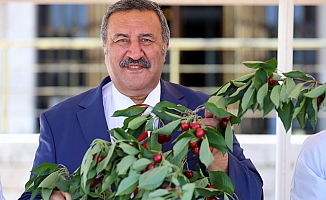 Gürer: “5 liraya mal edilen kiraz, 2.5 liraya bile satılamıyor!”