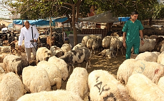 Seyhan’dan ücretsiz kurban kesimi