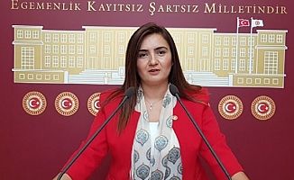 CHP'li Kılıç: Müzik sektörüne kaynak ayrılsın, eğlence vergisi kaldırılsın