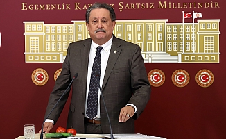 CHP’li Özer’den Akdeniz Meyve Sineği İçin Bakanlığa Çağrı