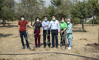 ÜNİVERSİTE YOLUNDA MERSİN’DE BARIŞ AĞAÇLARI YEŞERECEK