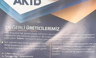 AB meyve sebze denetimini sıkılaştırdı ihracatçılar üreticiyi ilaç için uyardı