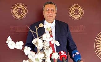 Gürer; “AKP döneminde   pamuk ithalatı yüzde 57 arttı”