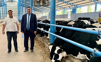 Gürer: “Çiğ süt  fiyatı sabit, süt mamullerinin fiyatı artıyor”