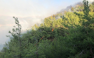 Yangın bölgesinde maden projesi iddiası tepki çekti