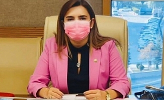 Deprem Araştırma Komisyonu Üyesi Kılıç; “Bu Komisyon teknikten öte vicdani bir komisyon”