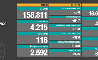 Türkiye'de koronavirüsten 116 kişi daha hayatını kaybetti