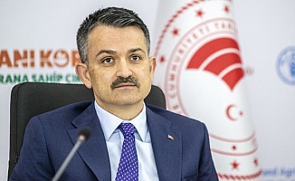 Bakan Pakdemirli: 2020 son 5 yılın en kurak yılı olabilir