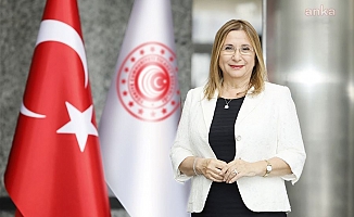 Birleşik Krallık, Brexit sonrası AB ile vardığı anlaşmanın ardından ilk STA'yı Türkiye ile imzaladı