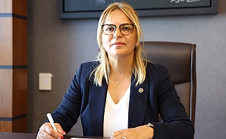 "Çevre duyarlılığı masalıyla, Çarşamba Ovası ve Şahin Dağları katlediyor"