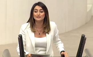 CHP'li Bankoğlu: TTK işlevsiz hale getiriliyori, yabancılar değerlerimizi sömürüyor