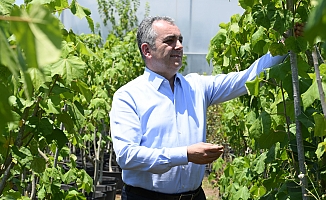 Konyaaltı Belediyesi, 2020’de 45 bin metrekare yeşil alan açtı