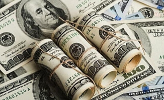 Merkez'in net döviz rezervi 1,5 milyar dolar arttı