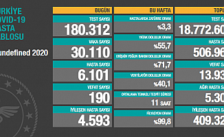 Türkiye'de koronavirüsten 190 kişi daha hayatını kaybetti