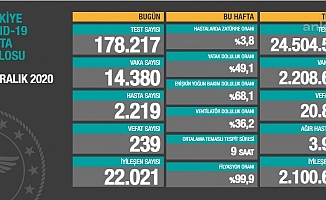 Türkiye'de yılın son gününde koronavirüsten 239 kişi daha hayatını kaybetti