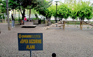 ÇANKAYA PARKLARINDA KÖPEKLERE DE YER VAR