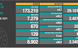Türkiye'de koronavirüsten 129 kişi daha hayatını kaybetti