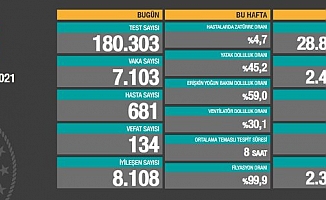 Türkiye'de koronavirüsten 134 kişi daha hayatını kaybetti